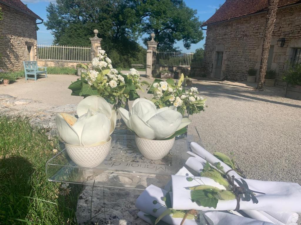 Manoir De Malagorse Cuzance Zewnętrze zdjęcie